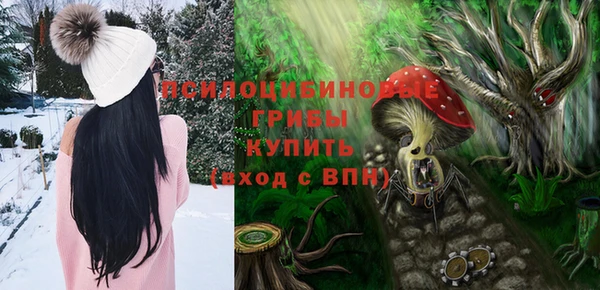 гидра Абинск