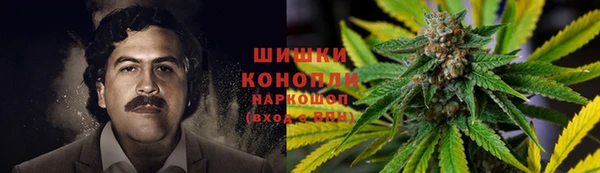 дживик Козловка
