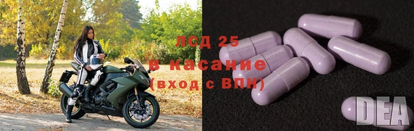 прущие крисы Козельск
