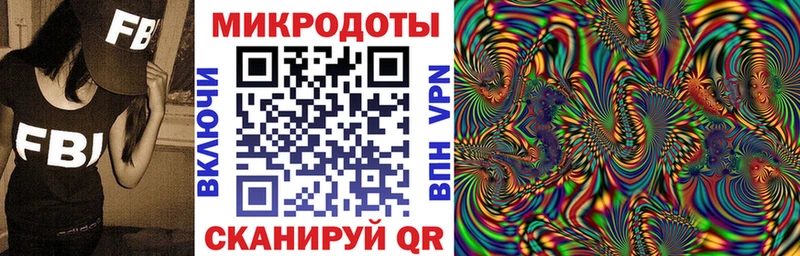 omg сайт  Петров Вал  Псилоцибиновые грибы мицелий 